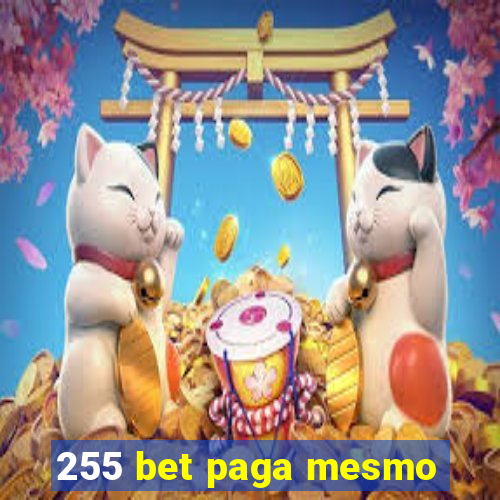 255 bet paga mesmo